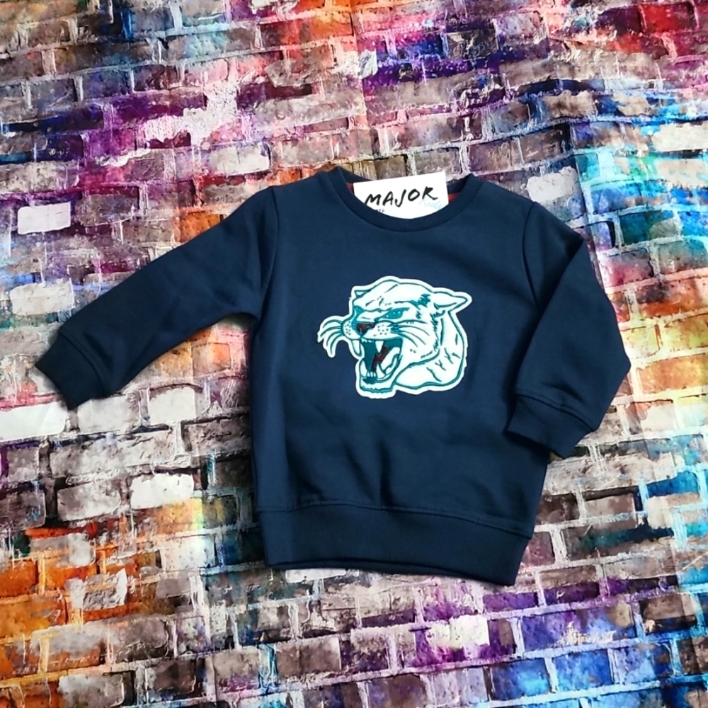 Boys blue cougar sweater